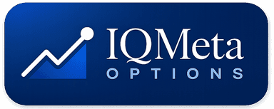 IQMeta Options